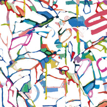 Load image into Gallery viewer, Dolcezza Simply Art "Fighting The Wind" Multi Print Scarf