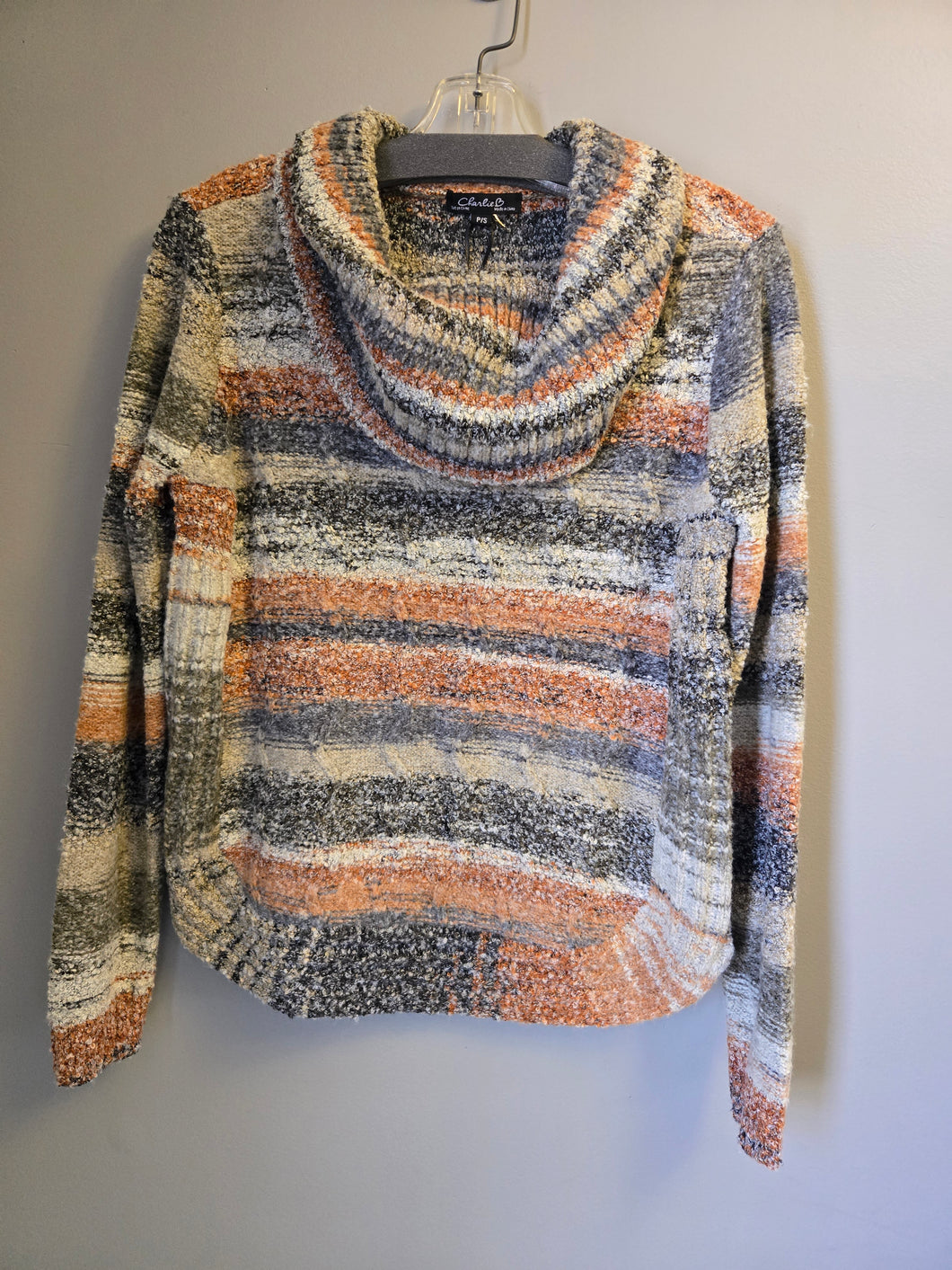 Charlie B Autumn Stripe Pullover Sweater