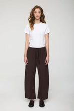 Load image into Gallery viewer, Theo Drawstring Poplin Pant
