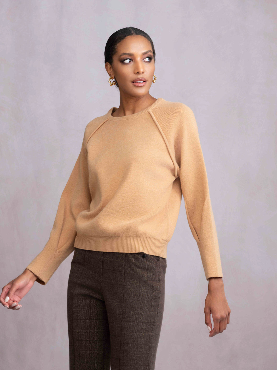Alison Sheri Pullover Crewneck Sweater